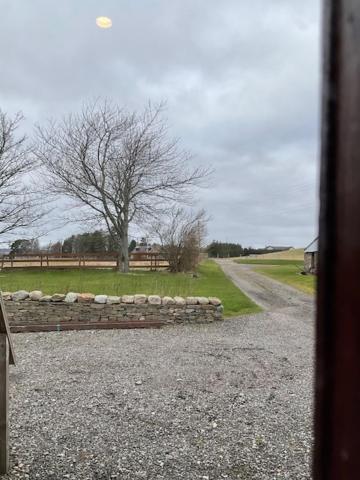 Appartamento Ben View Aberlour Luxury Barn Conversion Esterno foto